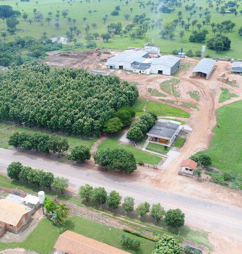 Teca de qualidade industria