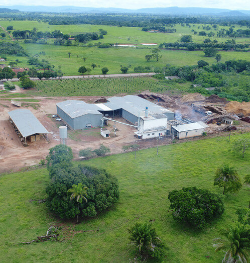 Teca de qualidade floresta 02